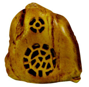 BL-206