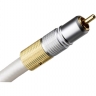 XTZ()lӍ̖(ho):Pearl White 1.5m