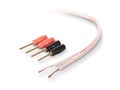 ؐQףϺ޹˾:AV23002zh50