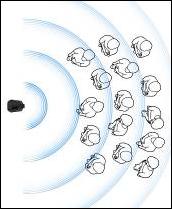 Bose L1 Compact(l)ʘ(l)U(ku)ϵy(tng)l(f)(hu)